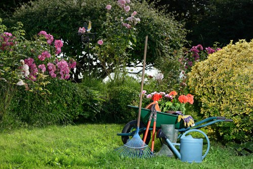 Tree felling service for a residential property in Eastham