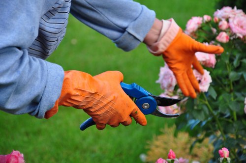 Tree surgeons preparing a clear, itemised quote for Eastham property work