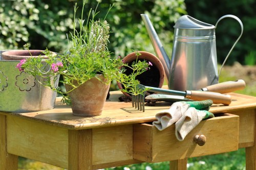 Tree surgeons in Eastham providing expert tree care and pruning