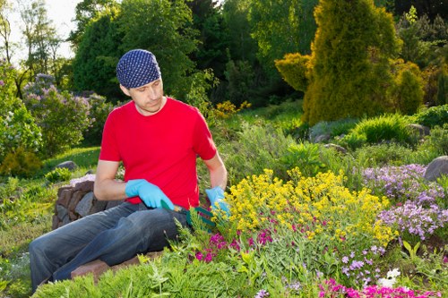 Card and online payment security for tree surgery services