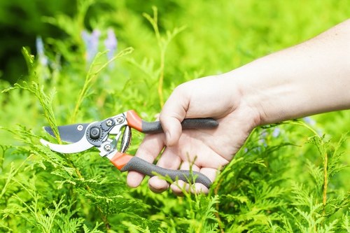Supplier audit and compliance review in arboriculture