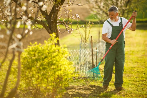 Tree felling and site clear-up for a commercial or domestic property